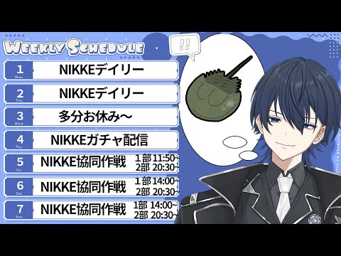 ✨配信スケジュール✨