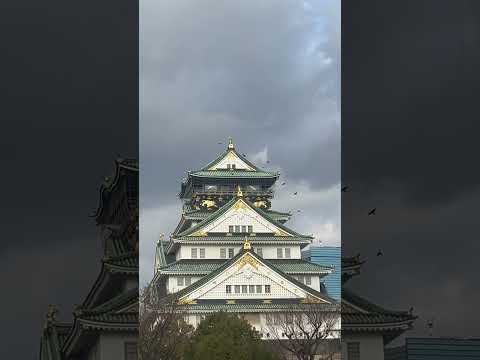 ปราสาทโอซาก้า🏯🐦‍⬛japanญี่ปุ