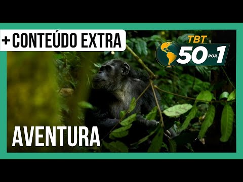 TBT 50 por 1 | Veja a maior aventura selvagem que Alvaro Garnero já viveu!