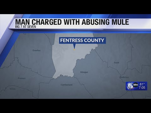Man Charged with Abusing Mule