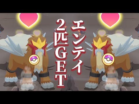 マスターサブレ2枚つかってエンテイ2匹仲間にしてみた。【ポケモンスリープ】