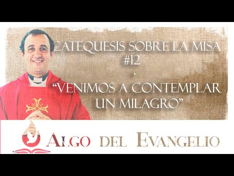 Catequesis sobre la Misa #12 - Venimos a misa a contemplar un milagro - P. Rodrigo Aguilar