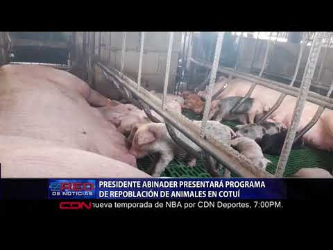 Presidente Abinader presentará programa de repoblación de animales en Cotuí