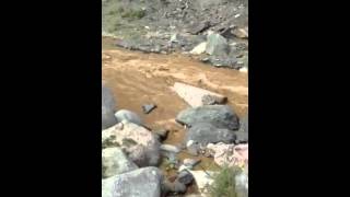 فيديو لسيل وادي ممنا في المخواة