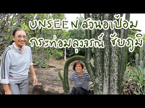 UNSEEN-สวนแคคตัสของอาป้อม-กระท UNSEEN-สวนแคคตัสของอาป้อม-กระท
