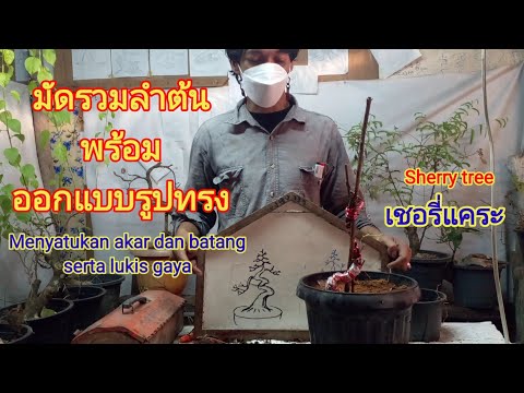 รวมเป็นหนึ่งไปสู่ทิศทางเดียวกั รวมเป็นหนึ่งไปสู่ทิศทางเดียวกั