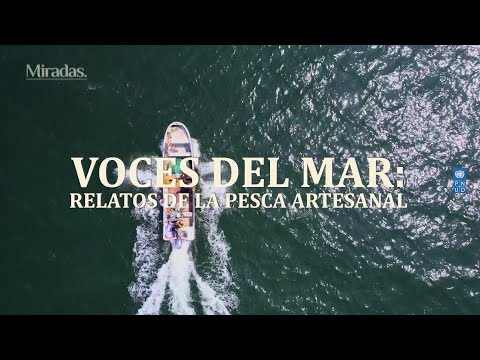 Miradas PNUD | Voces del mar: relatos de la pesca artesanal | 24 Horas TVN Chile