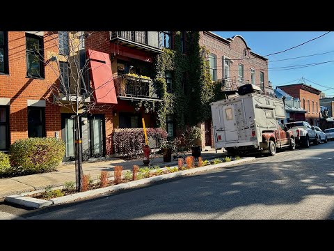 Montreal reportedly spent $32K on these tree planters