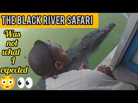 FULL TOUR OF THE BLACK RIVER SAFARI IN ST.ELIZABETH JAMAICA  , SEE HUGE FRIENDLY CROCODILES
