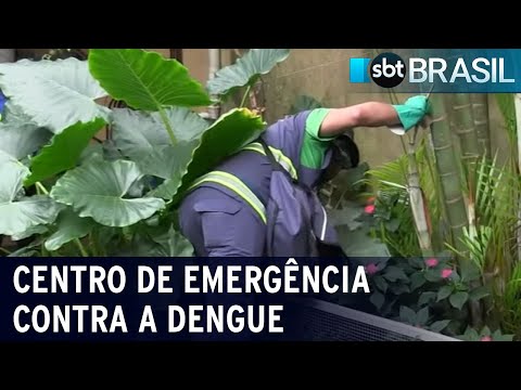 Ministério da Saúde intensifica monitoramento da dengue em todo o país | SBT Brasil (03/02/24)