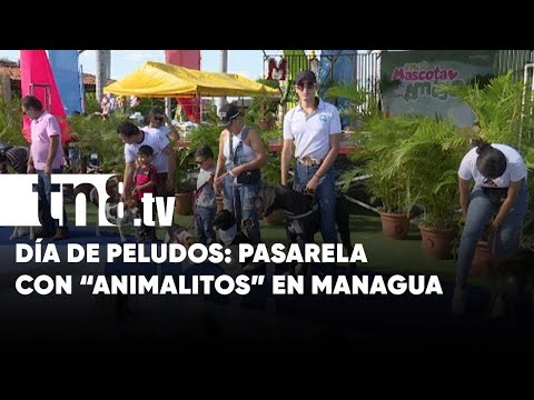 Jornada de salud animal «Pasarela con Animalitos», en Managua - Nicaragua