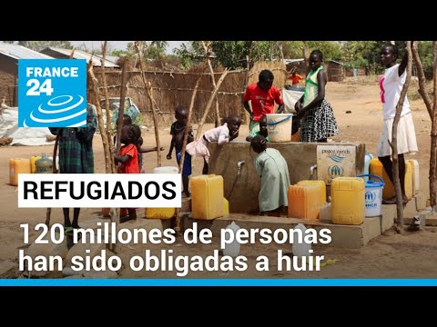 ¿Por qué la apatía y la inacción frente a los refugiados? • FRANCE 24 Español