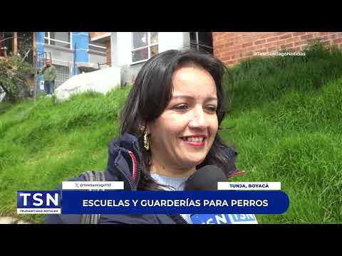 ESCUELAS Y GUARDERÍAS PARA PERROS