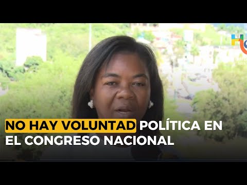 No hay voluntad política en el congreso nacional para aprobar la ley contra violencia política