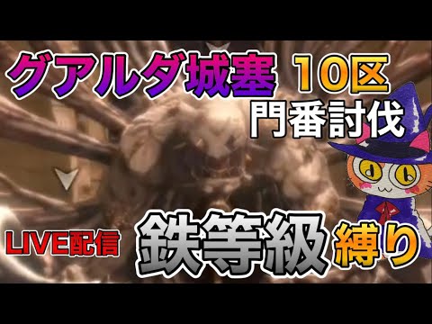 【ウィザードリィ ダフネ】#57 Take10リベンジ！ グアルダ城塞10区ラスボス鉄等級討伐チャレンジ♪ 雑談Live配信【WIZダフネ】