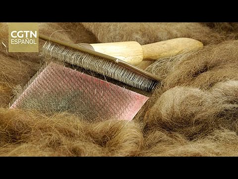 Perú promociona productos de vicuña en Beijing