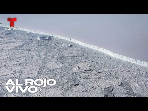 Iceberg gigante avanza a isla en Antártida amenazando flora y fauna | Al Rojo Vivo | Telemundo