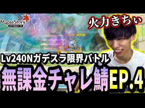 チャレ鯖4日目Lv240でNガデスラに挑戦してみるいかしょー【メイプルストーリー無課金チャレンジャーズワールド編EP.4】