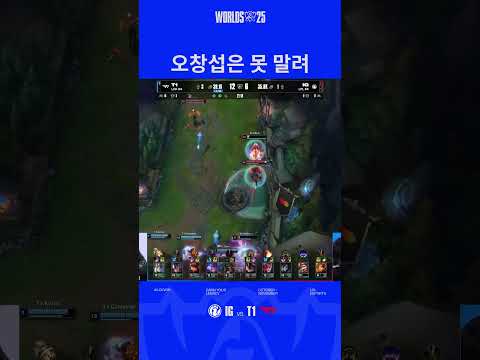 오징어는 말려도, 오너는 못 말림.