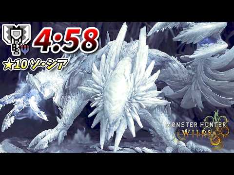 【解説付き】超強化された『★10 ゾ・シア』を4分台で討伐するチャアクが強すぎる【モンハンワイルズ】