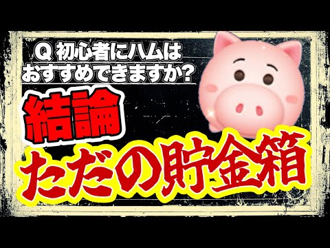 【ツムツム】初心者さんにハムはおすすめできる？　結論　ハムはただの貯金箱