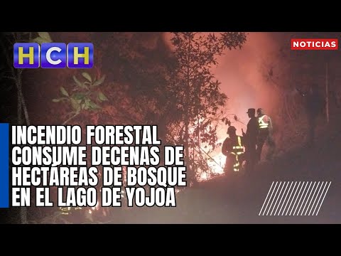 Incendio forestal consume decenas de hectáreas de bosque en el Lago de Yojoa