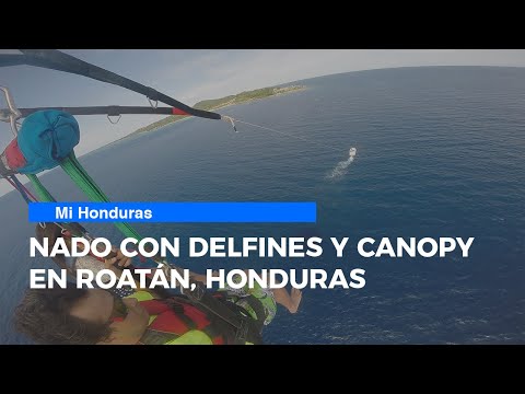 Mi Honduras: Nado con Delfines y Canopy en Roatán, Honduras