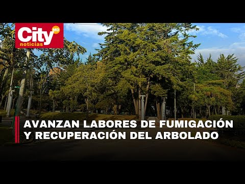 El Parque Nacional reverdece: se prevé su entrega para inicios de diciembre | CityTv