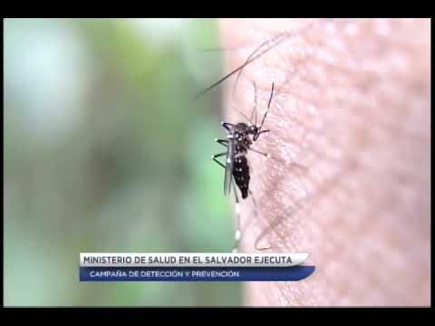 Gobierno ejecuta campaña de detención y prevención del dengue