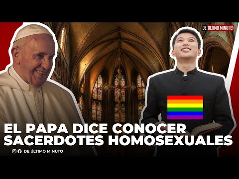 EL PAPA DICE CONOCER SACERDOTES CON TENDENCIAS HOMOSEXUALES