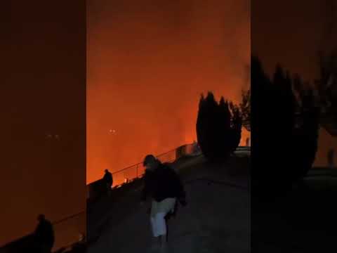 Evacúan a Residentes por Incendio Forestal en San Pedro de la Paz, mientras #boric ni mira