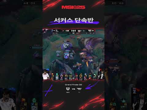 작전명 맞불