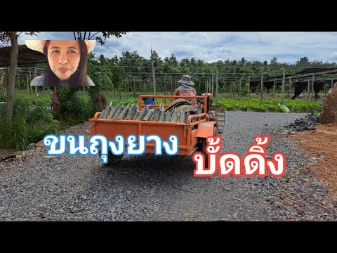 ขนต้นยางบั้ดดิ้ง3904ยางพันดีร