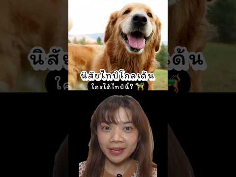 ใครไทป์นี้บ้าง🐕‍🦺goldenretri