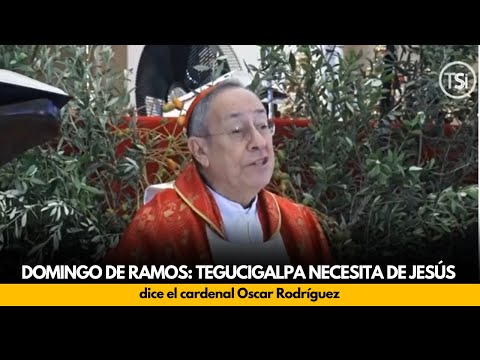 Domingo de Ramos: Tegucigalpa necesita de Jesús, dice el cardenal Oscar Rodríguez