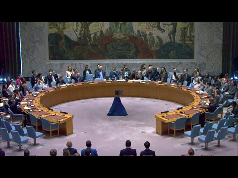 Consejo de Seguridad decide retirar misión de ONU de Irak a fines de 2025 | AFP