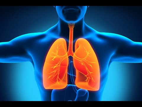 Mesothelioma Symptoms