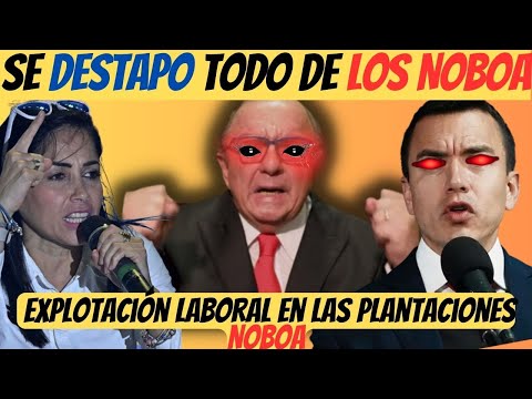 Desenmascaran a Daniel Noboa y Álvaro Noboa “Explotación laboral” | ANÁLISIS de  elecciones Ecuador
