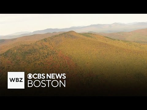 Fall foliage colors are starting to peak in New Hampshire's Lake Region