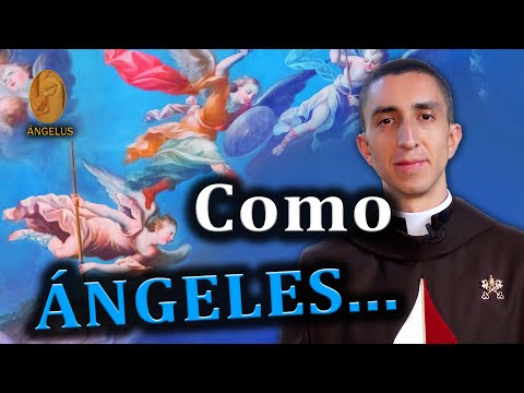 PUREZA que nos ANGELIZA | P. Jorge Velásquez - ÁNGELUS (20-oct-22)