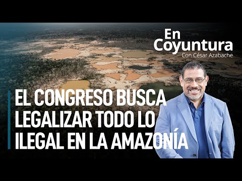El Congreso busca legalizar todo lo ilegal en la Amazonía | Julia Urrunaga #EnCoyuntura