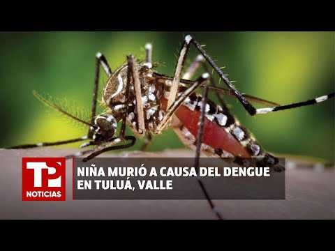 Niña murió a causa del dengue en Tuluá, Valle I03.04.2024I TP Noticias
