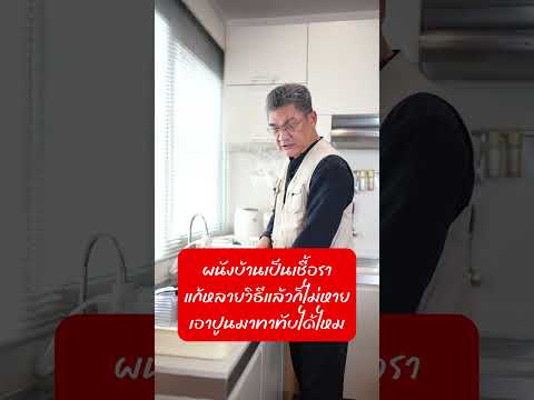 ผนังบ้านเป็นเชื้อราแก้หลายวิธี