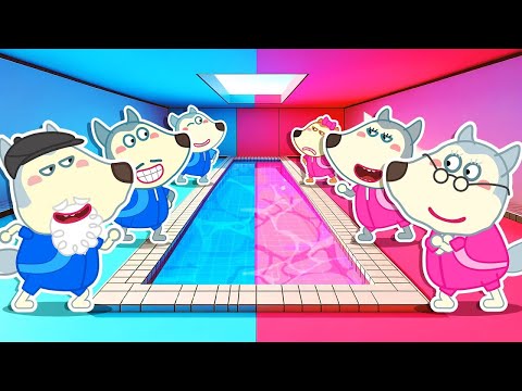 EN VIVO: Desafío rosa vs azul en una carrera de natación con la familia Wolfoo Dibujos animados