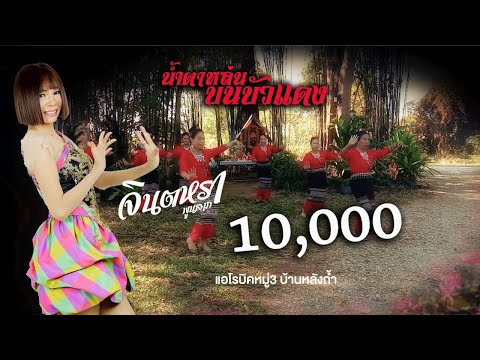 น้ำตาหล่นบนบัวแดง---แอโรบิคหมู น้ำตาหล่นบนบัวแดง---แอโรบิคหมู