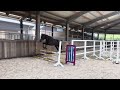 القفز بالفرس الصغير 4 jarige allround pony