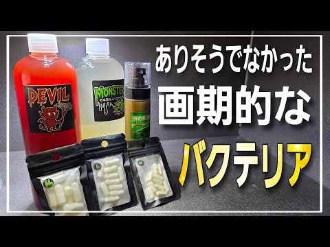 バクテリアに革命!!ありそうでなかった超画期的なバクテリア剤が凄すぎる‼ aquarium アクアリウム 熱帯植物 金魚 熱帯魚 水草 流木 メダカ アロワナ 海水魚