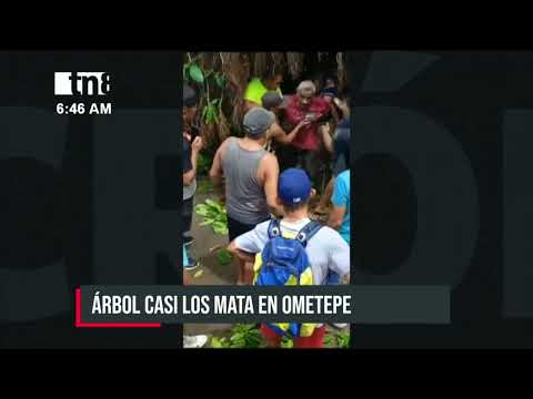 Árbol de chilamate cae sobre dos personas en la Isla de Ometepe