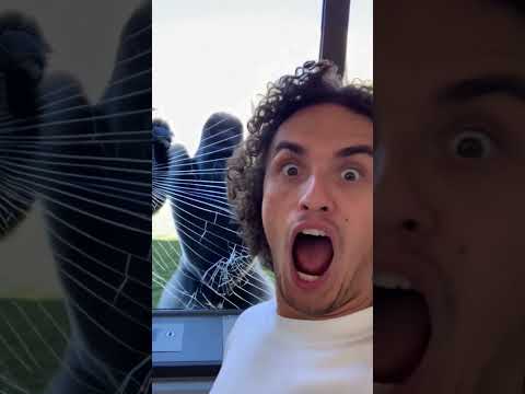 Klik hier om Kwebbelkop van 28 november te bekijken.