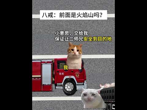猫の動画サムネイル - 让我们一起感谢消防员叔叔救了八戒！#有趣 #猫meme #猫meme剧场 #内容过于真实  #故事 #貓 #猫猫meme小剧场 #喵不可言